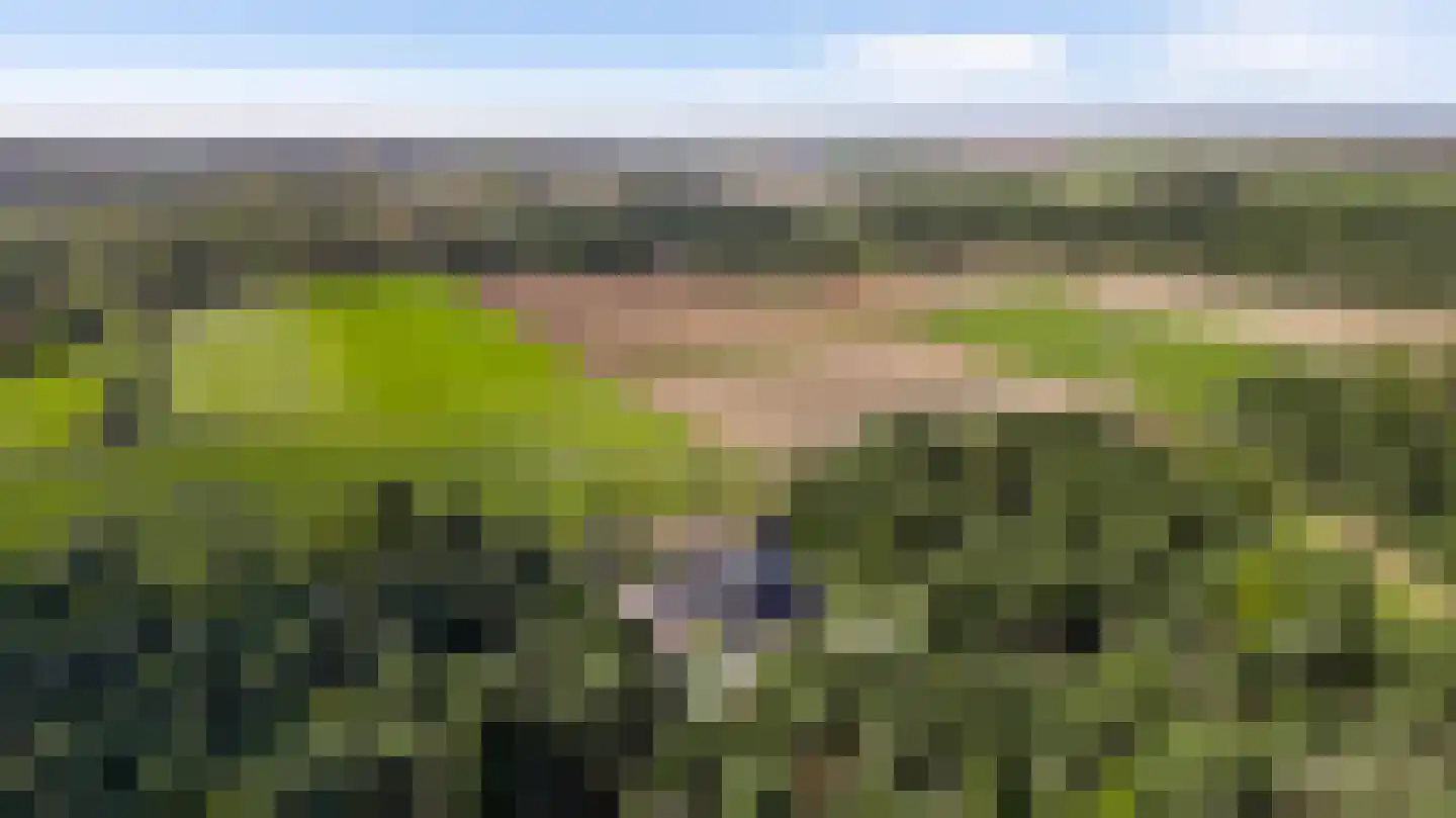 Kamersven 8 Maarheeze thumbnail 66