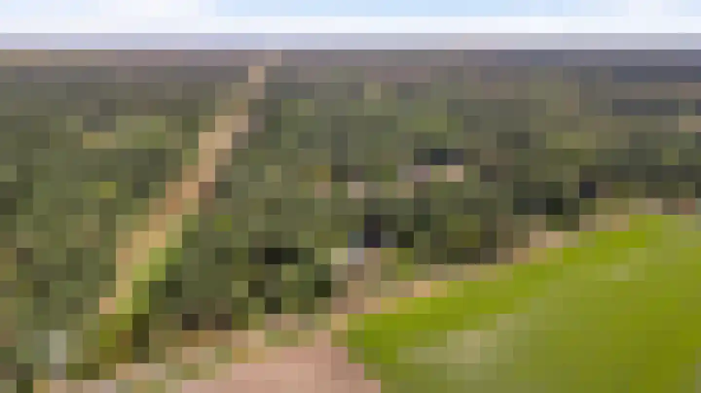 Kamersven 8 Maarheeze thumbnail 68