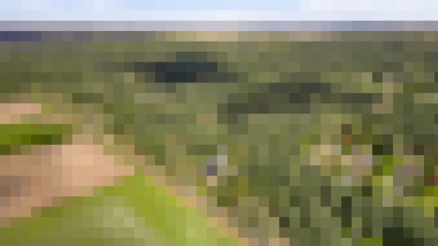 Kamersven 8 Maarheeze thumbnail 69