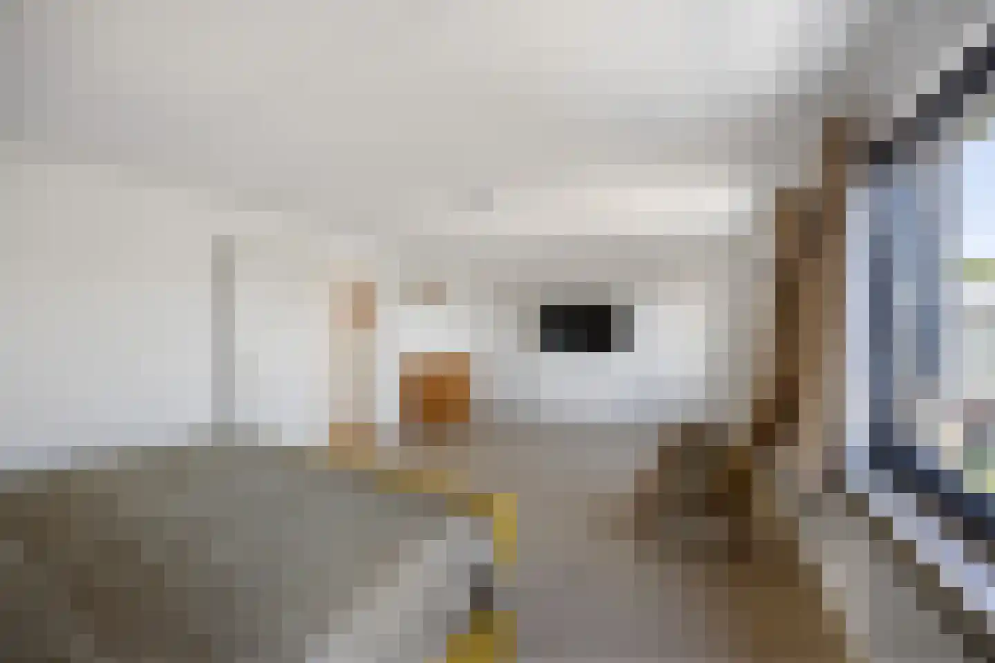 Kamervoort 177 Huissen thumbnail 20
