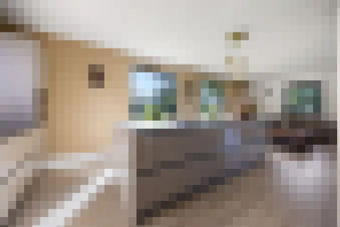 Kamervoort 177 Huissen thumbnail 5