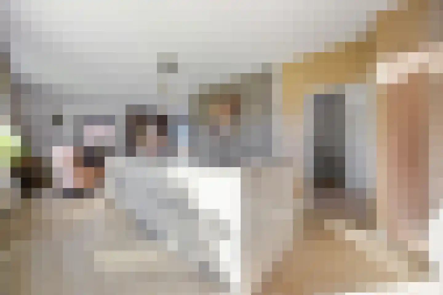 Kamervoort 177 Huissen thumbnail 6
