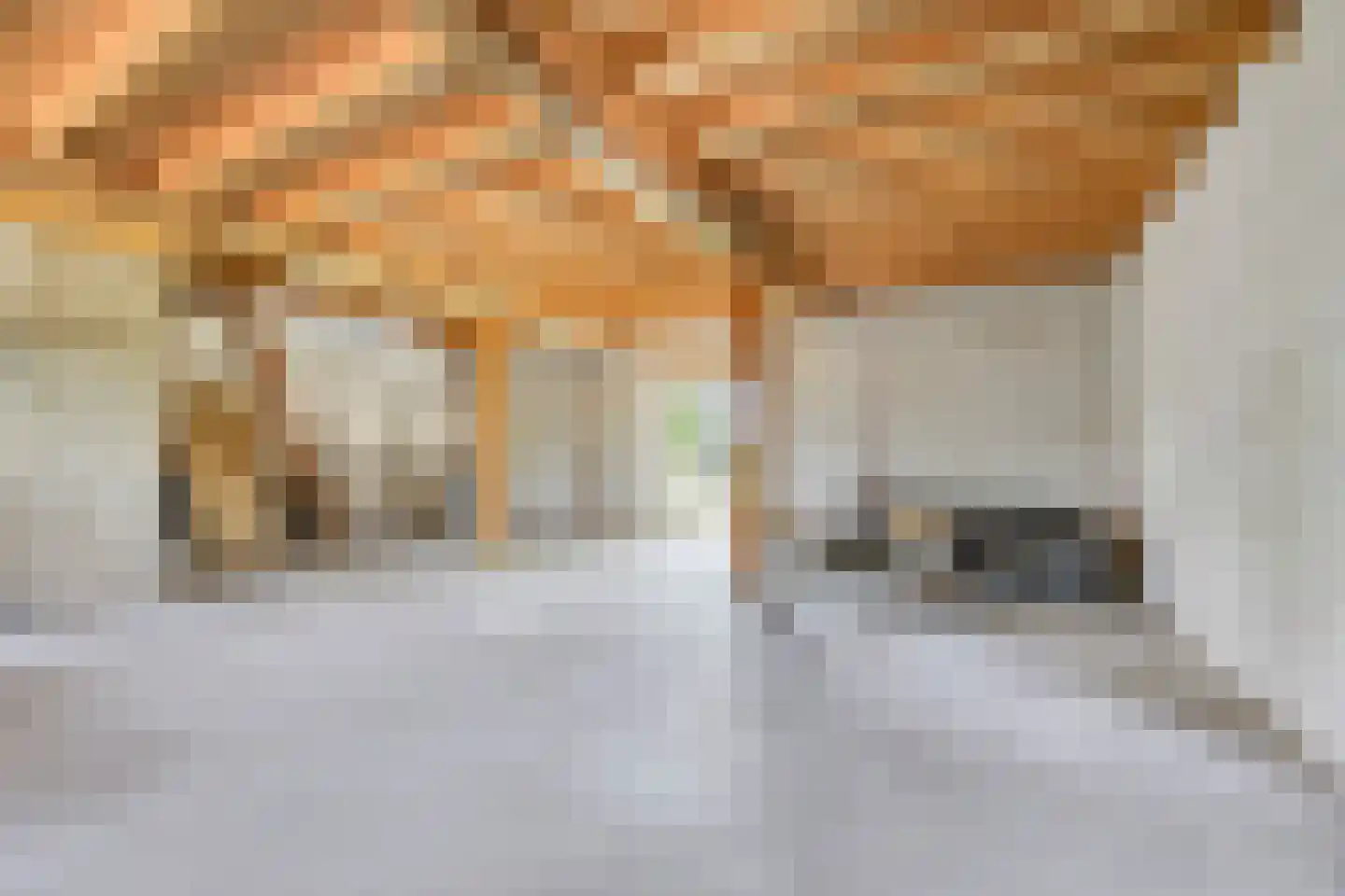 Kamervoort 28 Angeren thumbnail 19