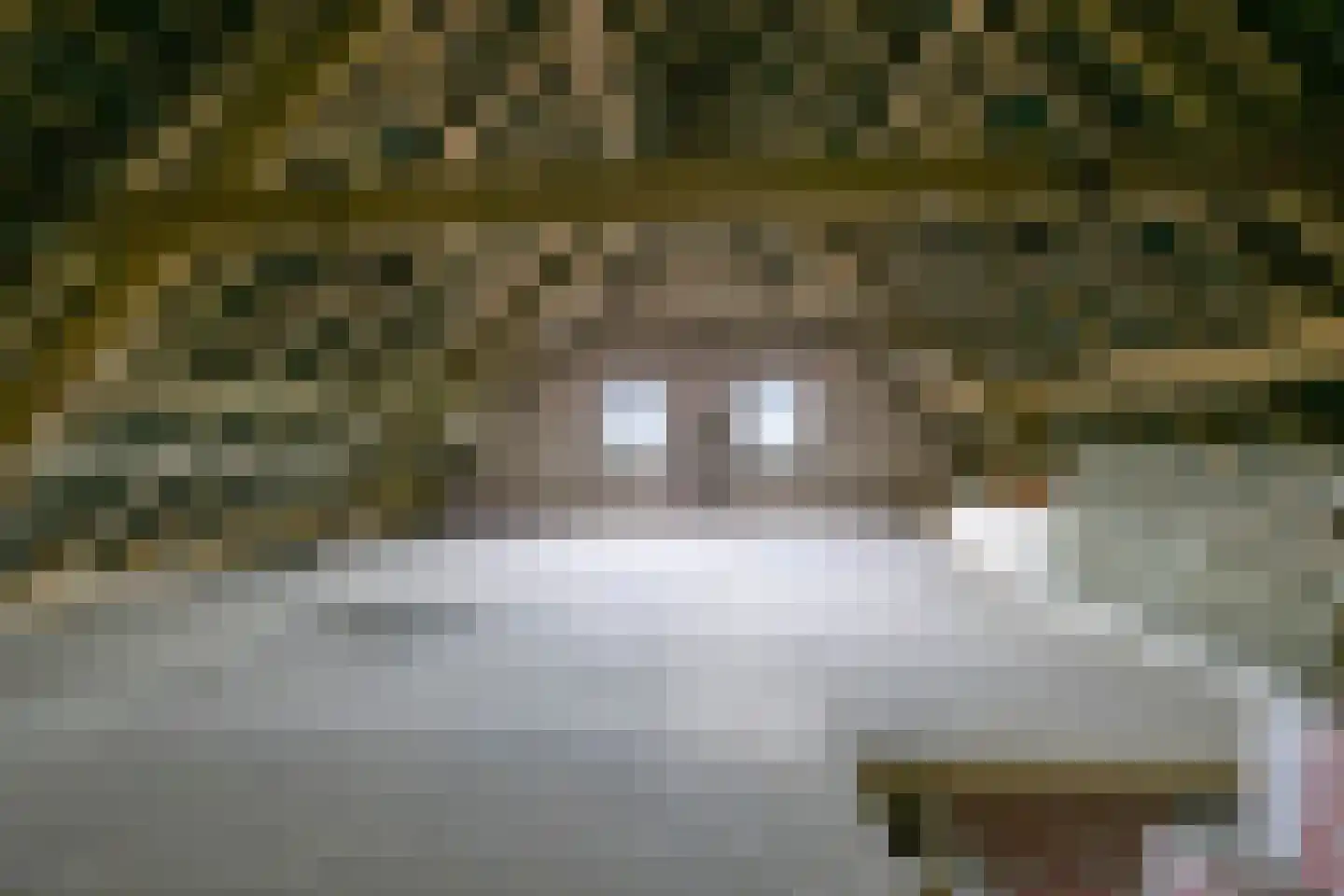 Kamervoort 28 Angeren thumbnail 20
