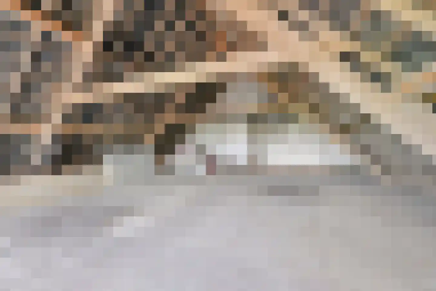 Kamervoort 28 Angeren thumbnail 22