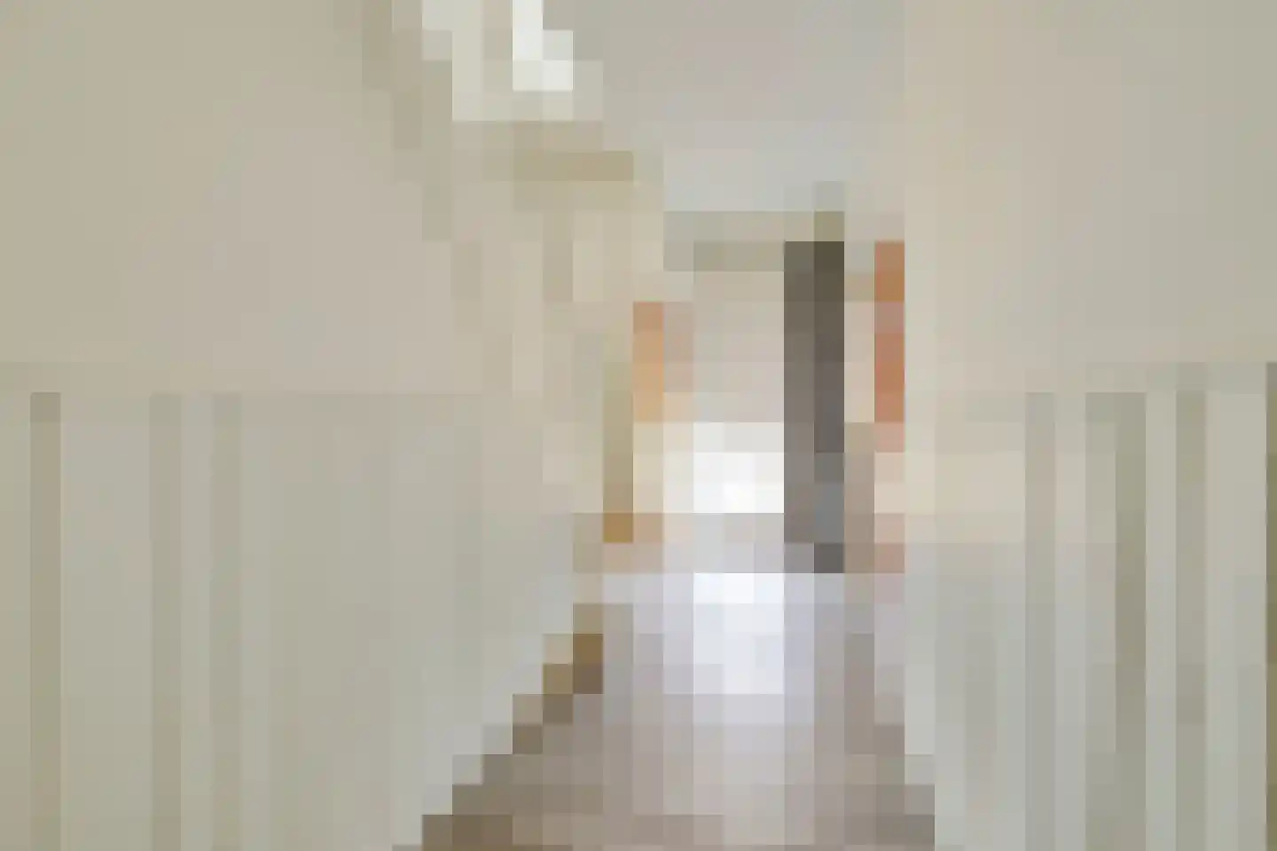 Kamervoort 28 Angeren thumbnail 4