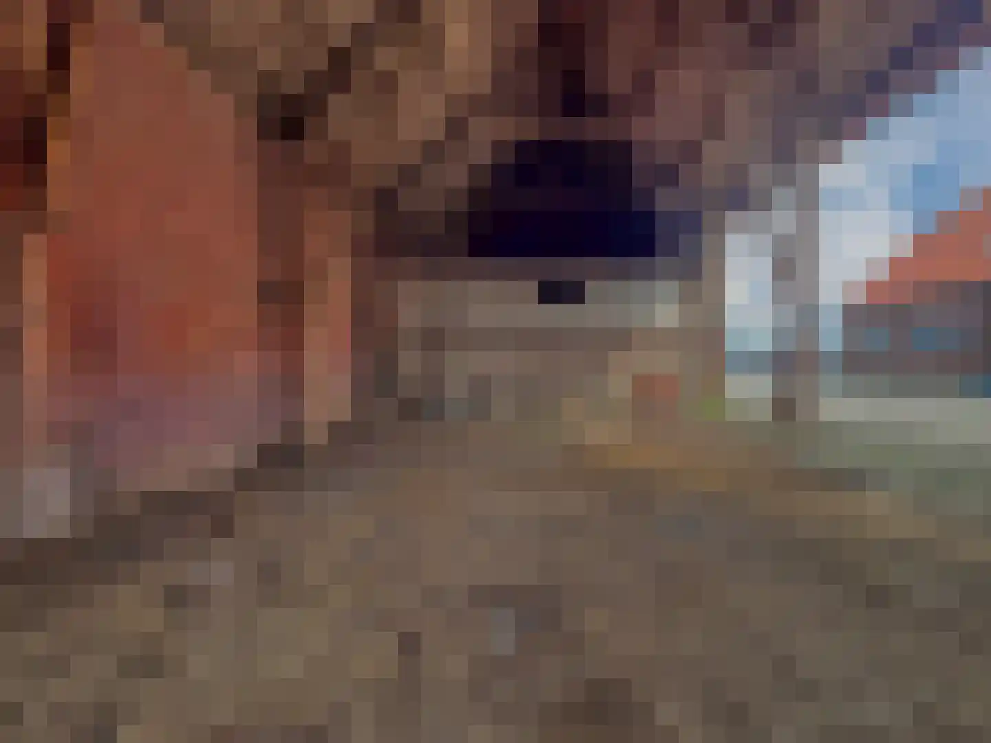 Kamervoort 52 Angeren thumbnail 10