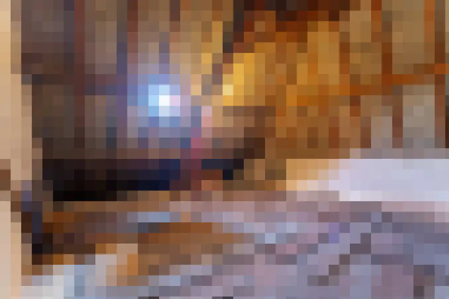 Kamervoort 52 Angeren thumbnail 22