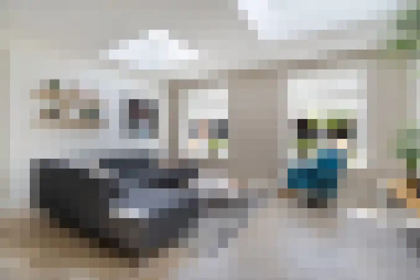 Kamferbekestraat 5 Hardenberg thumbnail 12