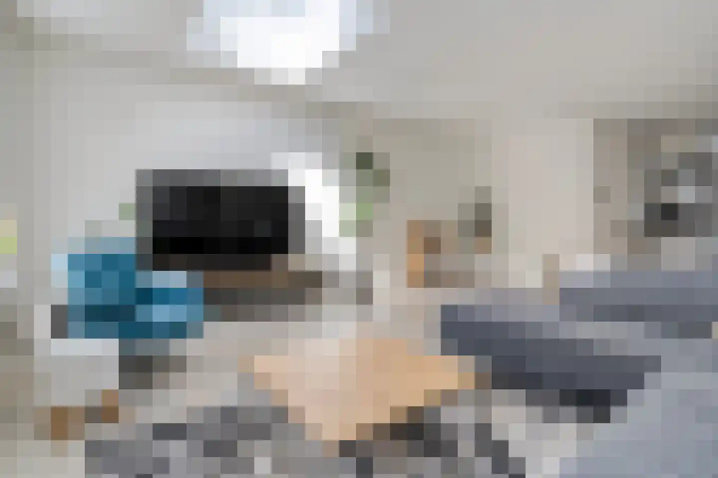 Kamferbekestraat 5 Hardenberg thumbnail 13