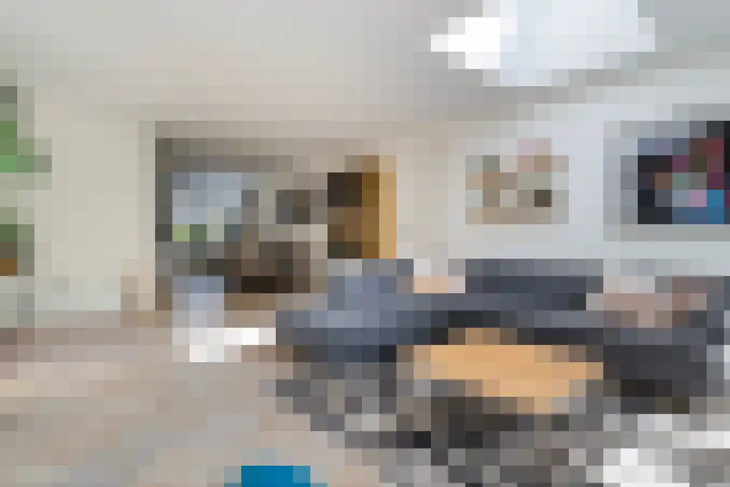 Kamferbekestraat 5 Hardenberg thumbnail 15