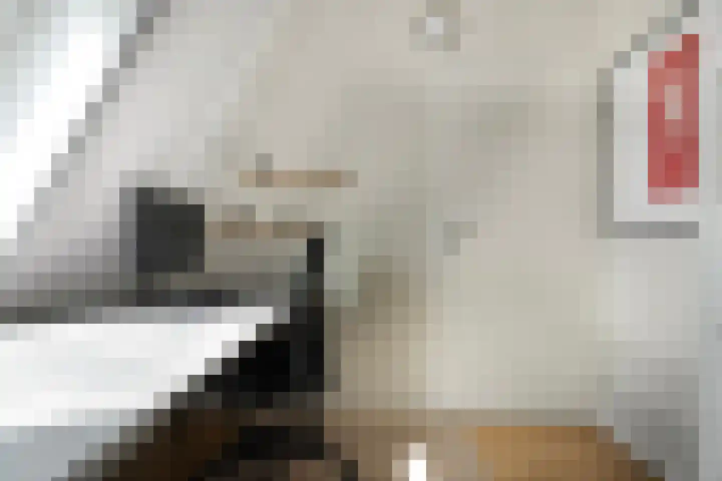 Kamferbekestraat 5 Hardenberg thumbnail 33