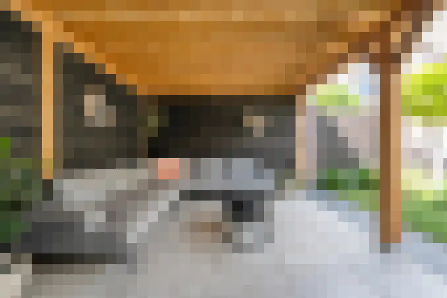 Kamferbekestraat 5 Hardenberg thumbnail 39