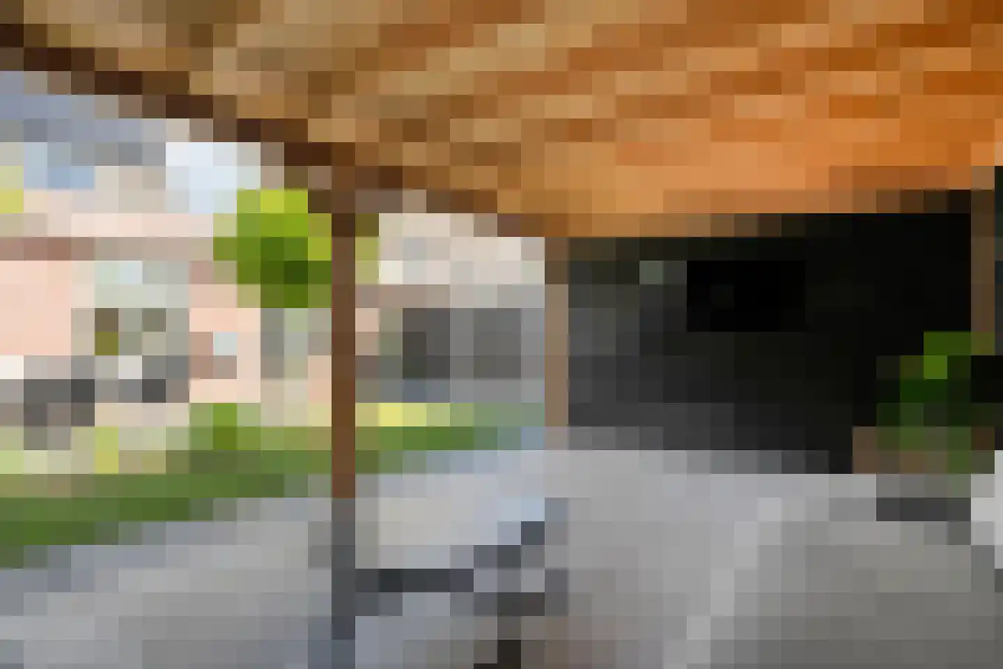 Kamferbekestraat 5 Hardenberg thumbnail 40