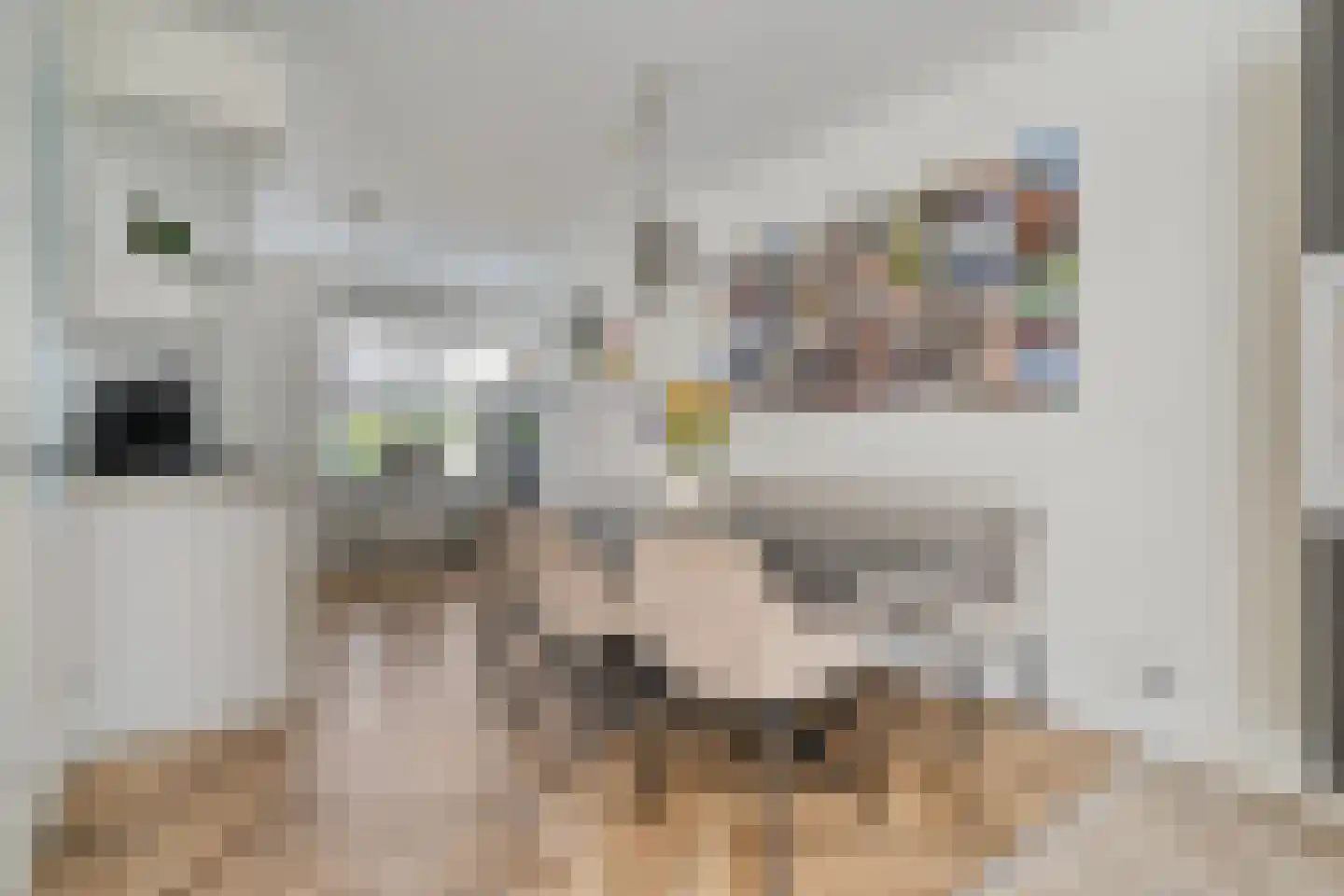Kamferbekestraat 5 Hardenberg thumbnail 6