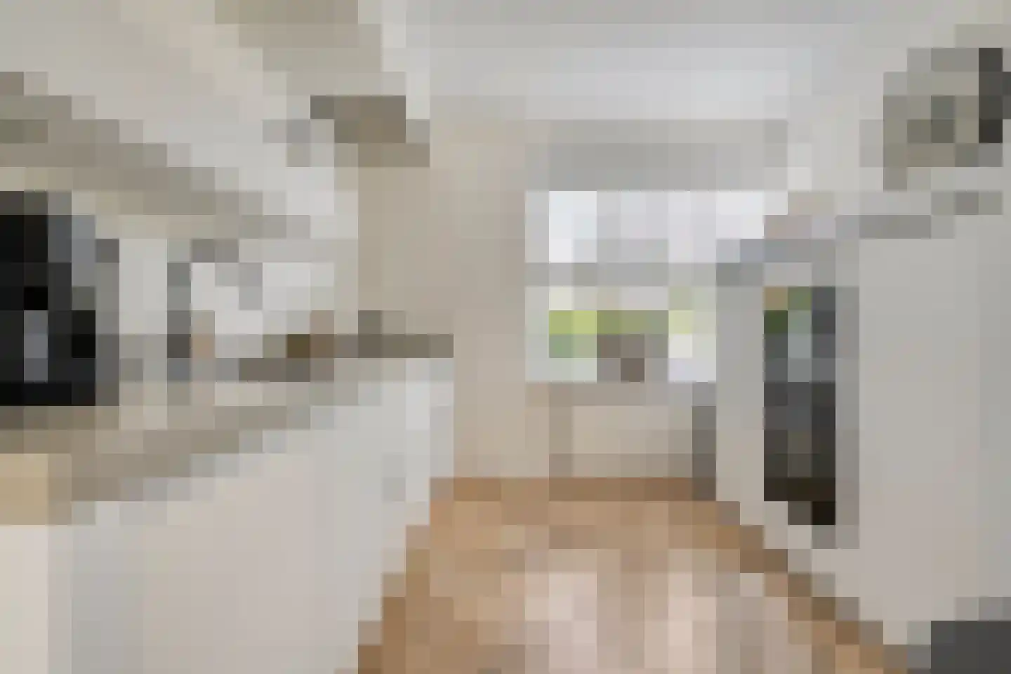 Kamferbekestraat 5 Hardenberg thumbnail 7