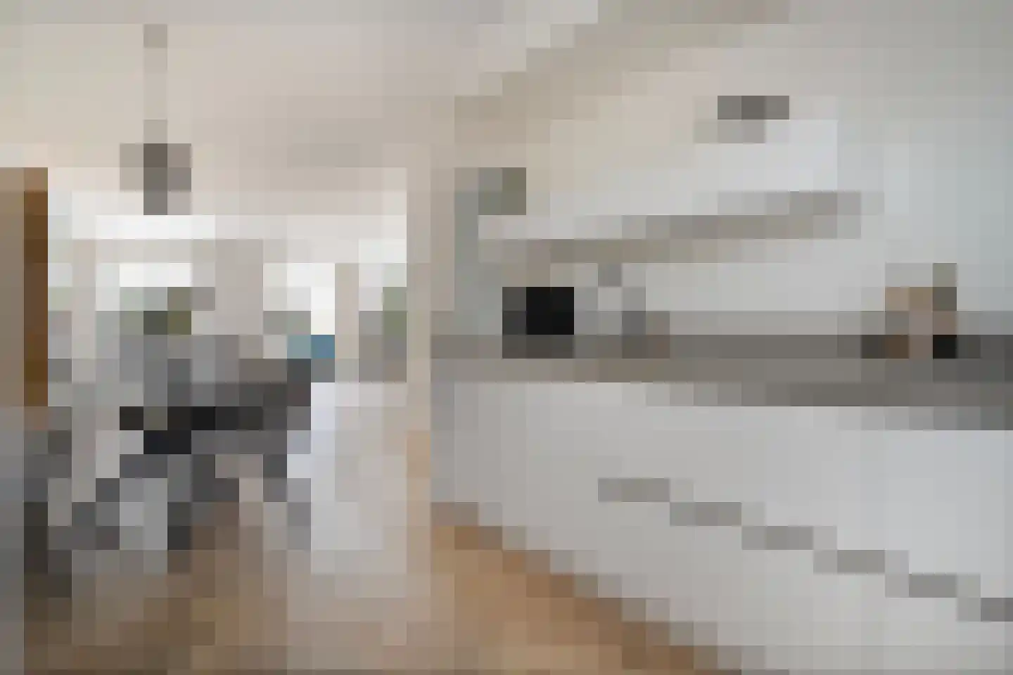 Kamferbekestraat 5 Hardenberg thumbnail 9