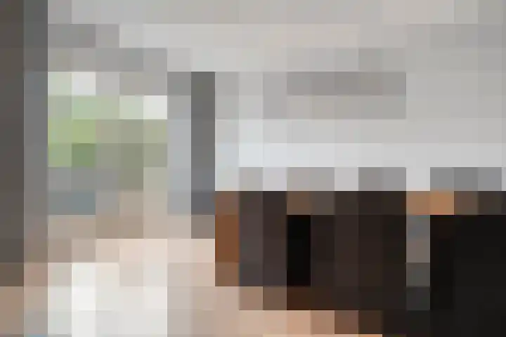 Kamferbekestraat 55 Hardenberg thumbnail 16