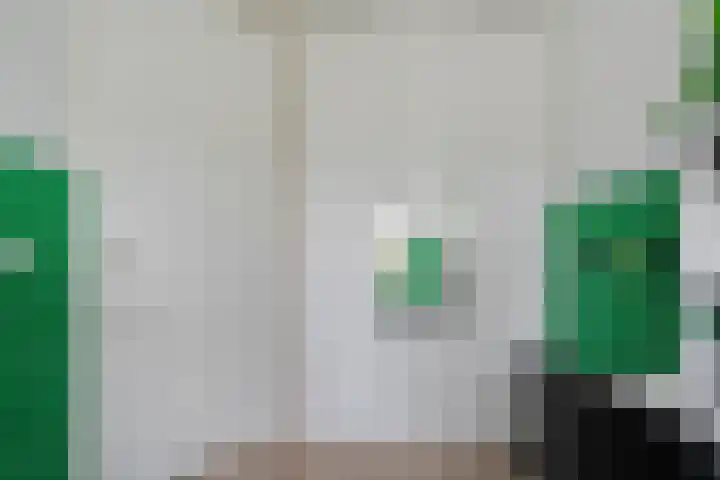 Kamferbekestraat 55 Hardenberg thumbnail 27
