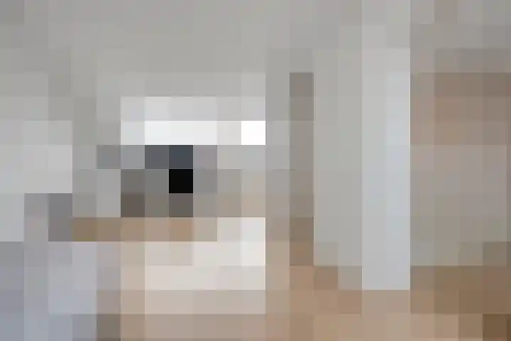 Kamferbekestraat 55 Hardenberg thumbnail 31