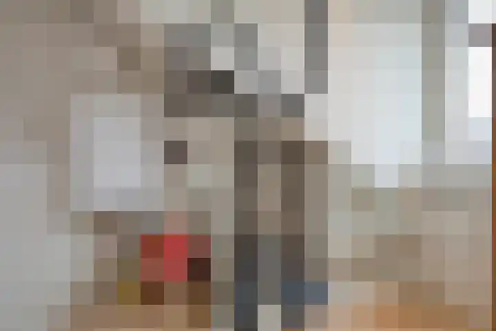 Kamferbekestraat 55 Hardenberg thumbnail 33