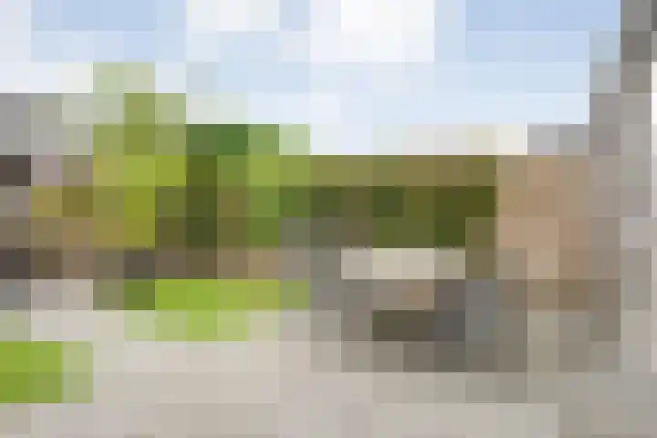 Kamferbekestraat 55 Hardenberg thumbnail 34