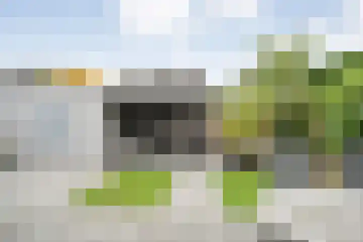 Kamferbekestraat 55 Hardenberg thumbnail 35