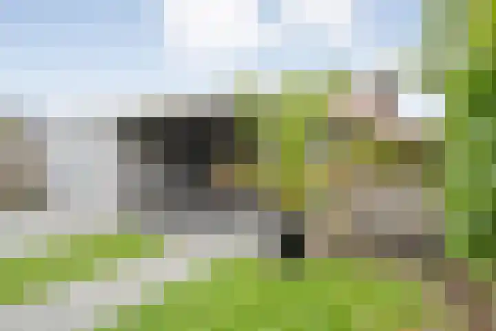 Kamferbekestraat 55 Hardenberg thumbnail 36