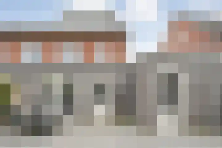 Kamferbekestraat 55 Hardenberg thumbnail 37