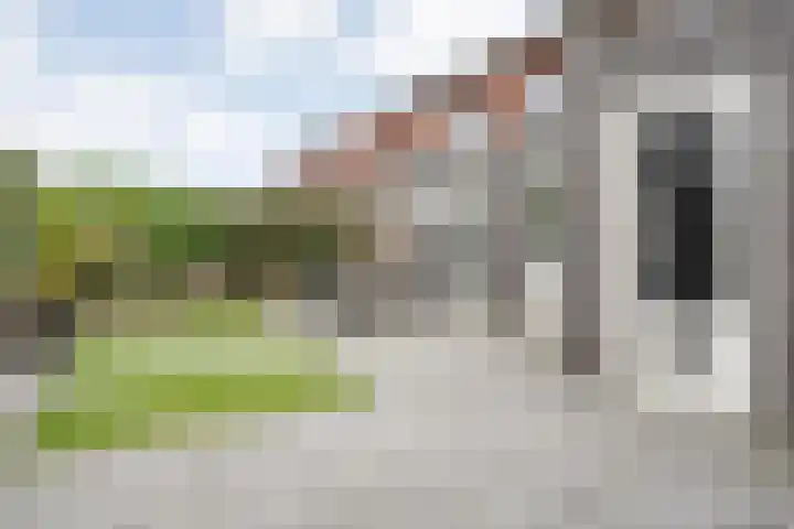 Kamferbekestraat 55 Hardenberg thumbnail 38