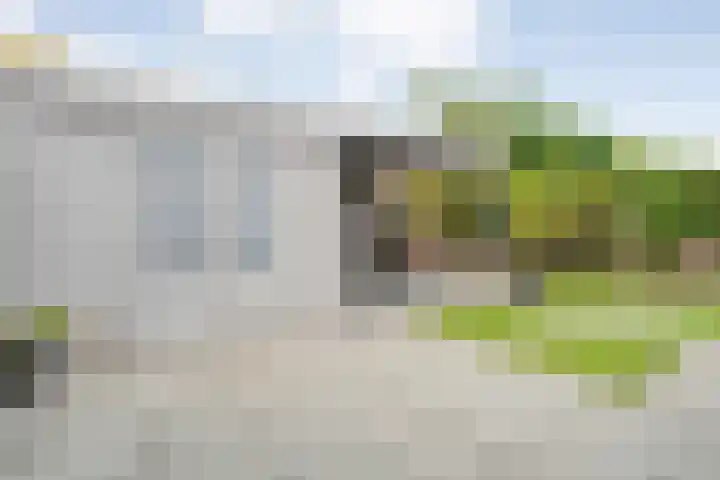 Kamferbekestraat 55 Hardenberg thumbnail 39