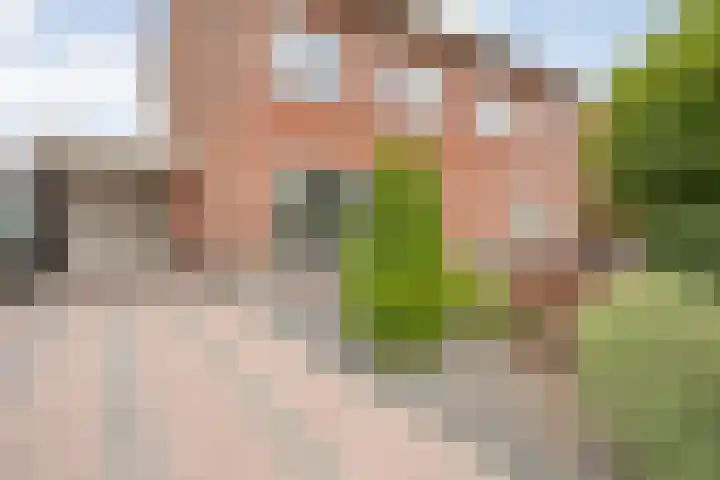 Kamferbekestraat 55 Hardenberg thumbnail 4