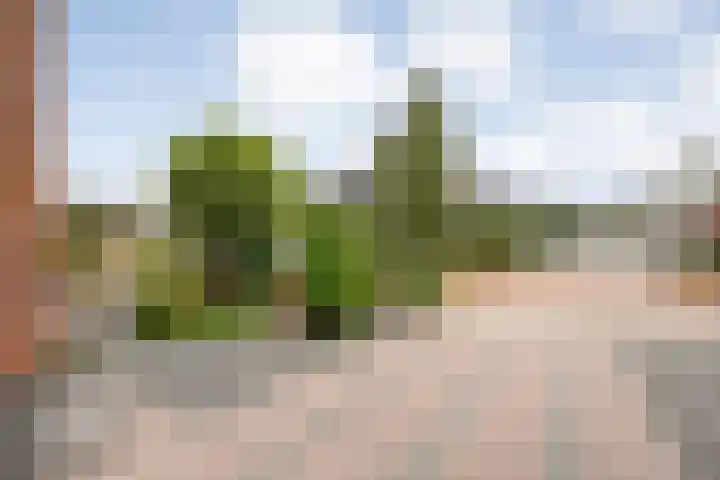 Kamferbekestraat 55 Hardenberg thumbnail 5