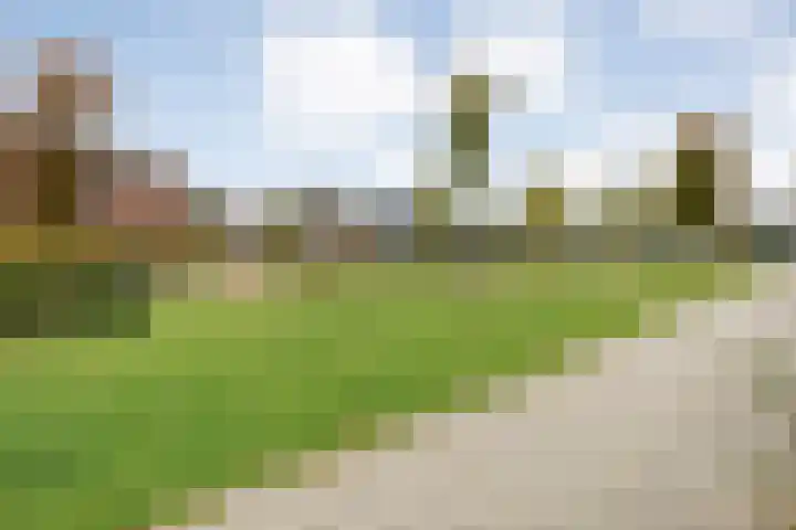 Kamferbekestraat 55 Hardenberg thumbnail 6