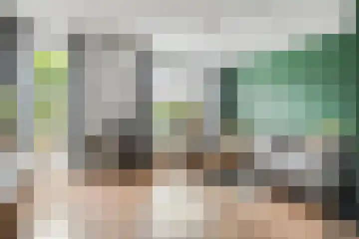 Kamferbekestraat 55 Hardenberg thumbnail 9