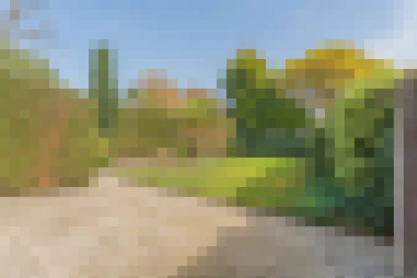 Kamgras 1 Veenendaal thumbnail 30