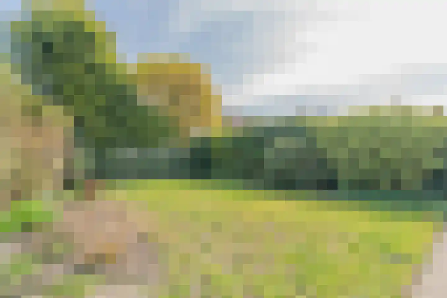Kamgras 1 Veenendaal thumbnail 31