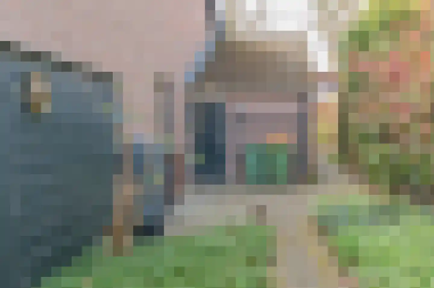 Kamgras 1 Veenendaal thumbnail 33