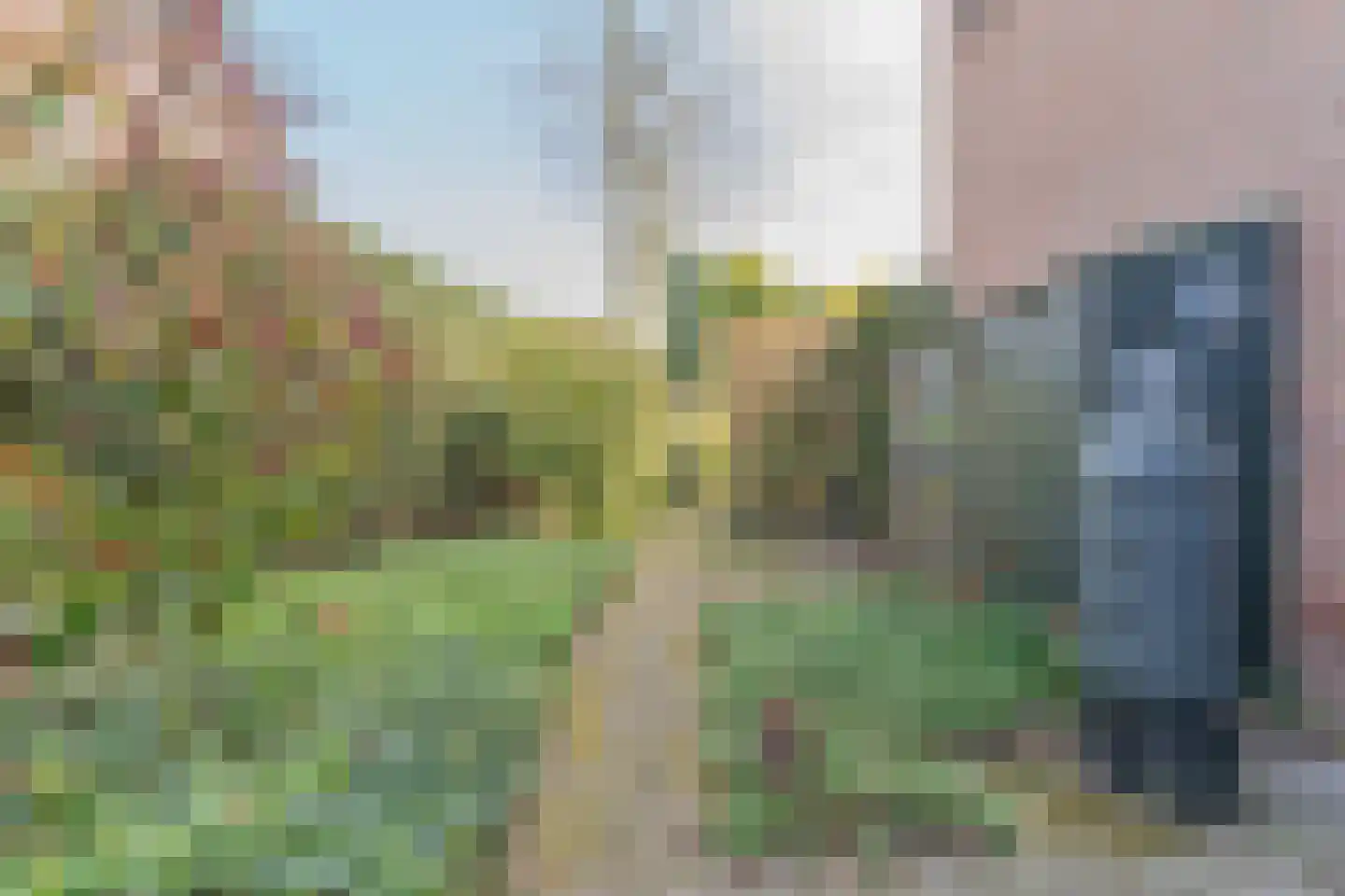 Kamgras 1 Veenendaal thumbnail 34