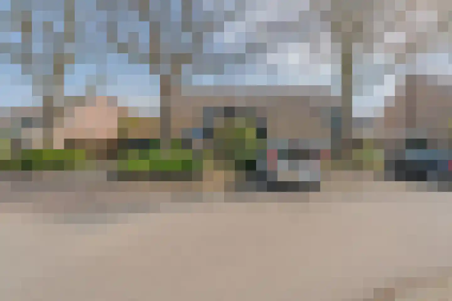 Kamgras 1 Veenendaal thumbnail 38