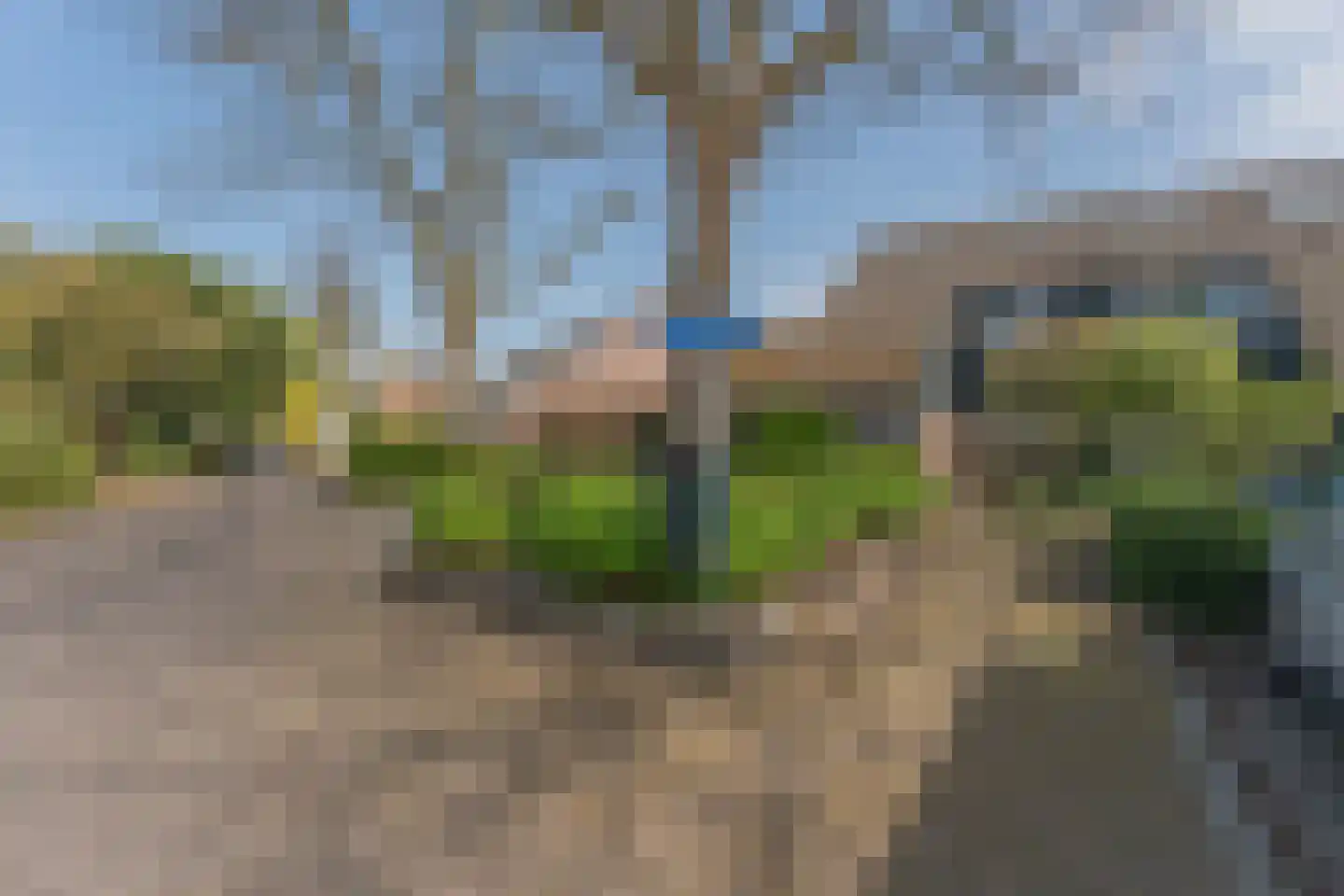 Kamgras 1 Veenendaal thumbnail 39