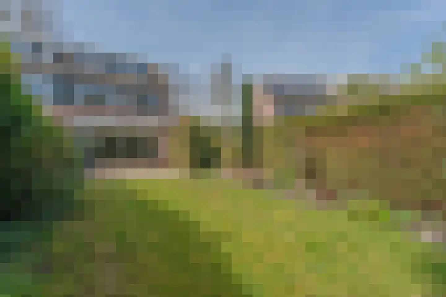 Kamgras 1 Veenendaal thumbnail 4