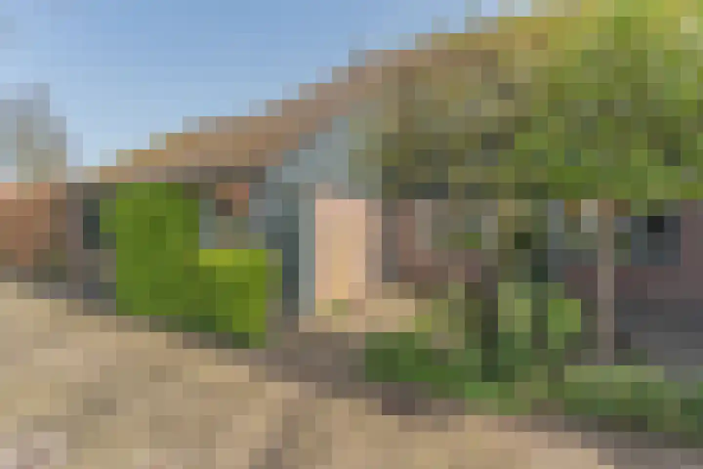Kamgras 1 Veenendaal thumbnail 5