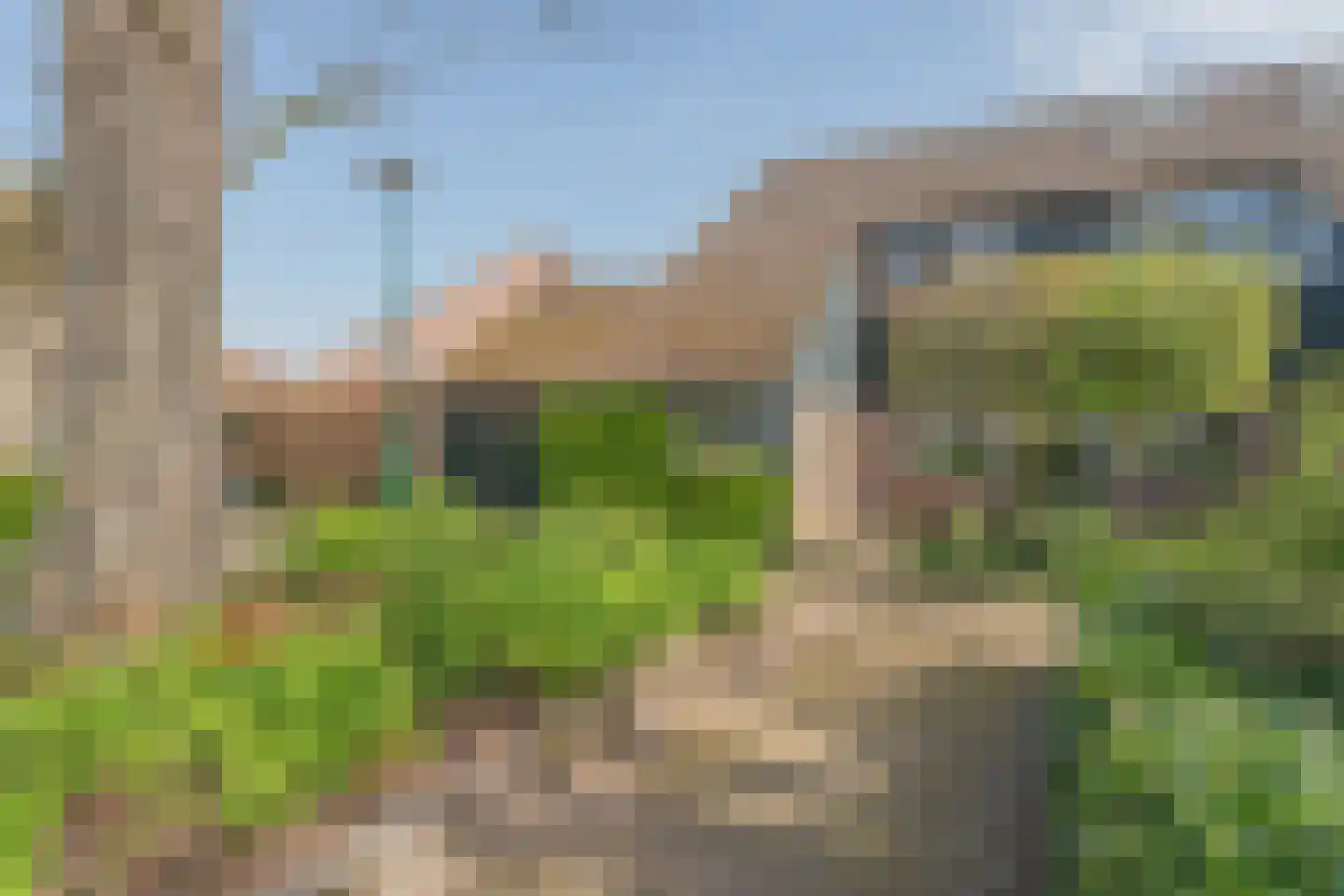 Kamgras 1 Veenendaal thumbnail 6