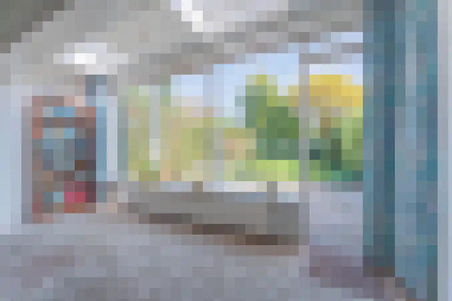 Kamgras 1 Veenendaal thumbnail 9