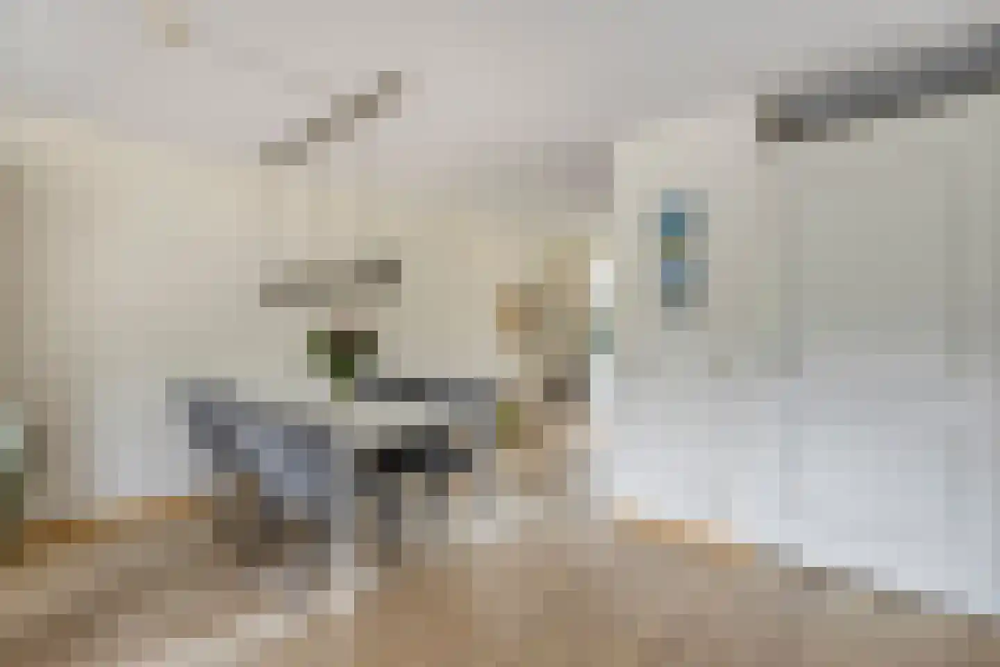 Kamgras 105 Houten thumbnail 10