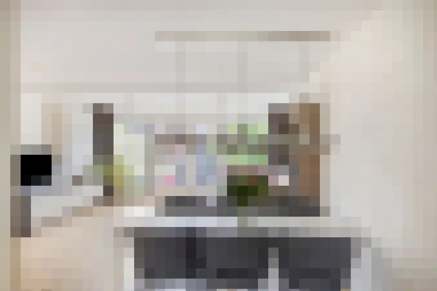 Kamgras 105 Houten thumbnail 15