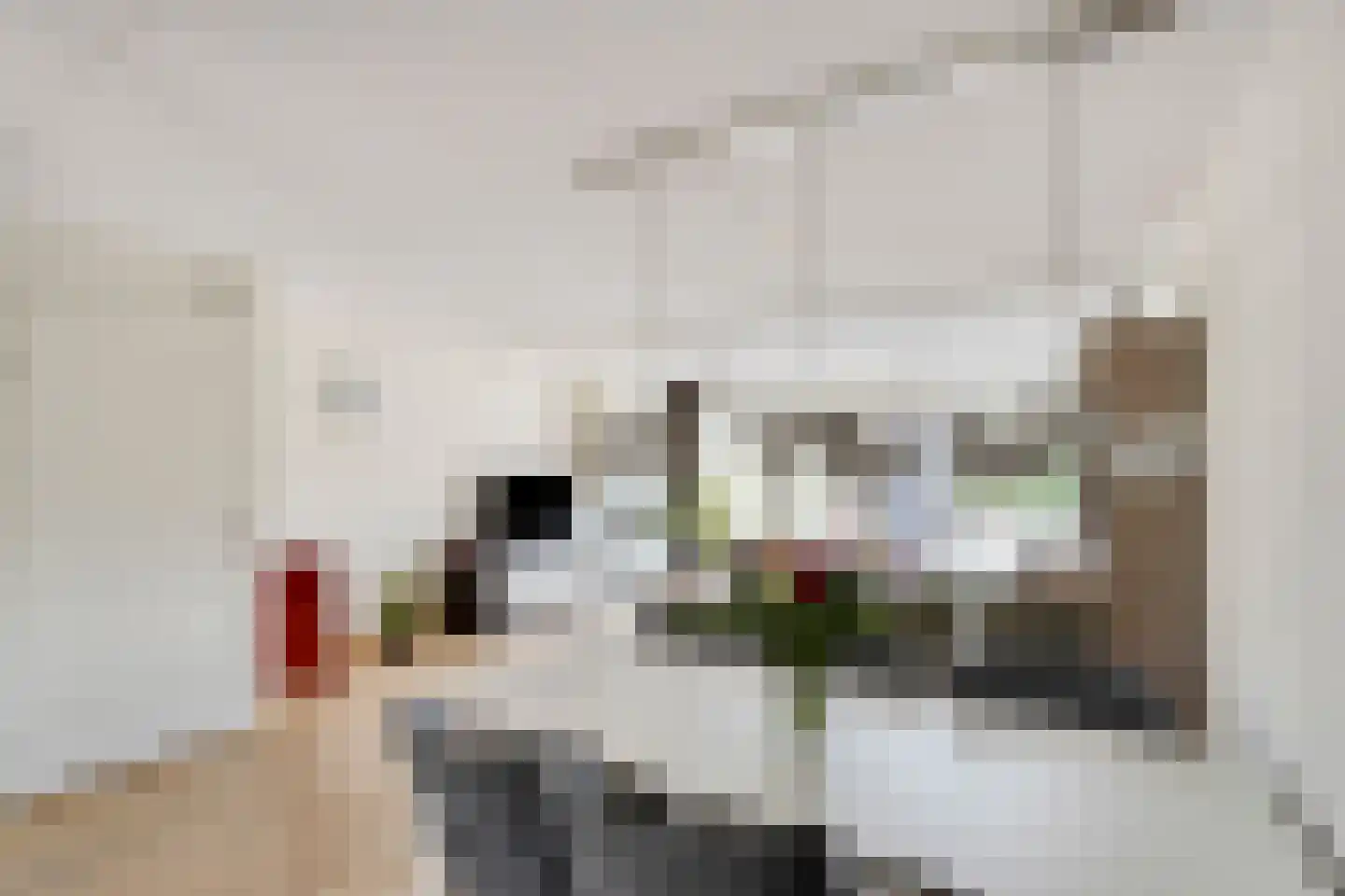 Kamgras 105 Houten thumbnail 16