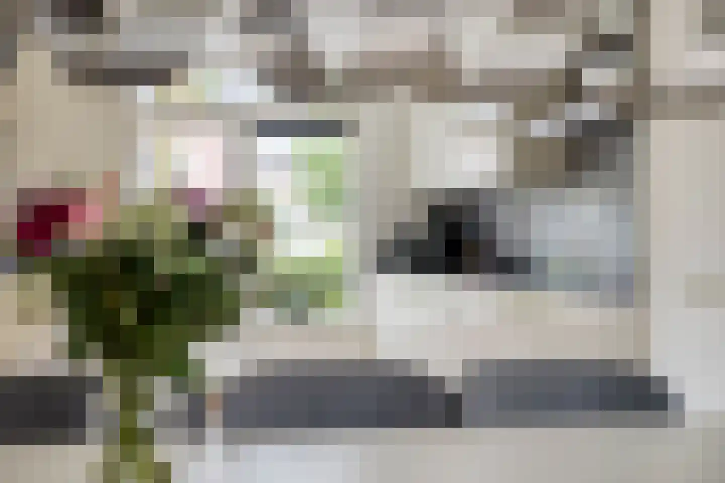 Kamgras 105 Houten thumbnail 17