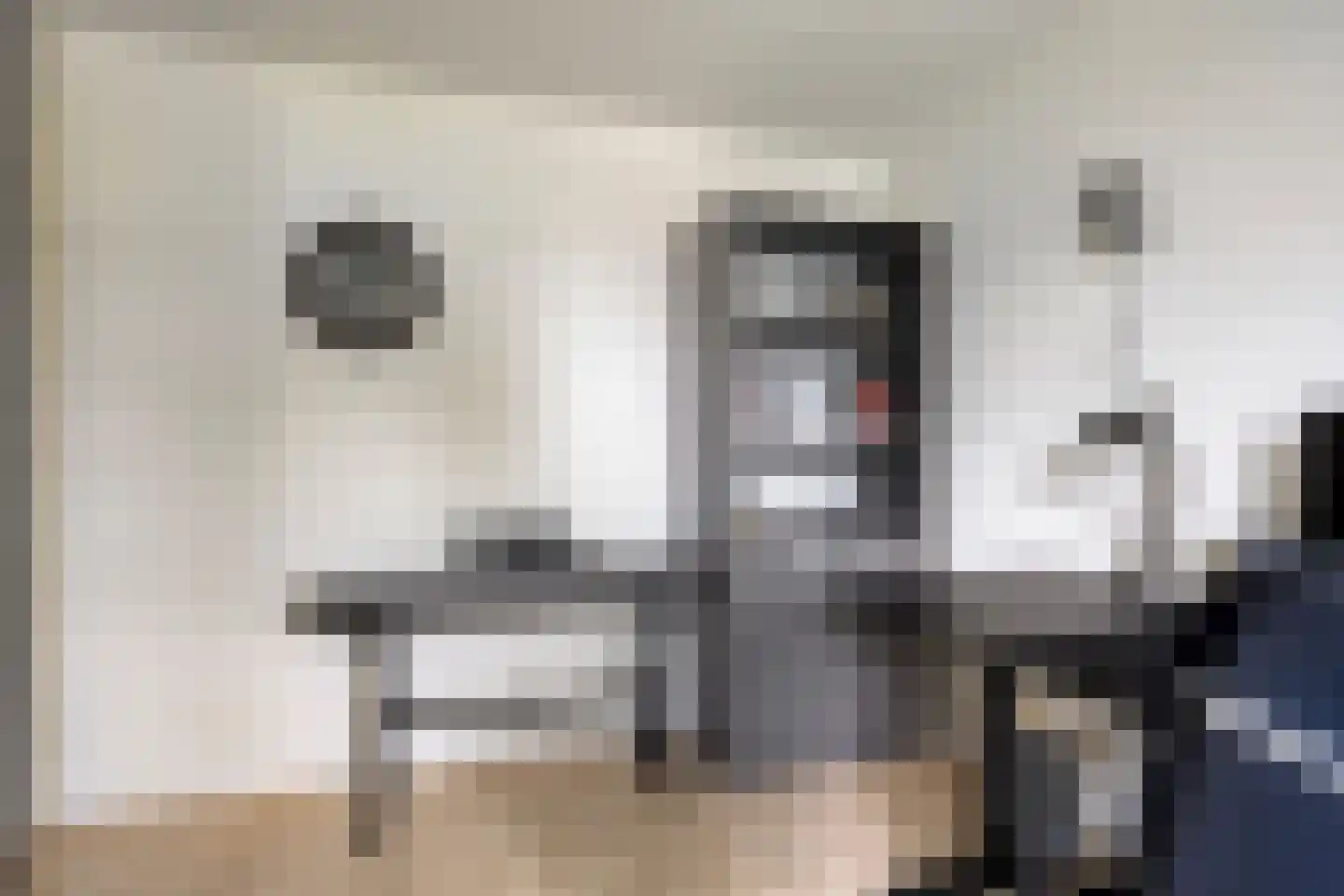 Kamgras 105 Houten thumbnail 26